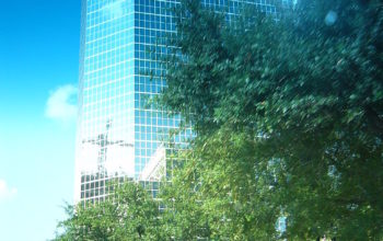 Sun_Reflection_on_Houston_Building_(2241601492)